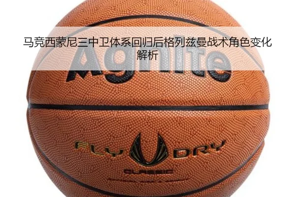 img_1780252474967_977_1_858.jpg